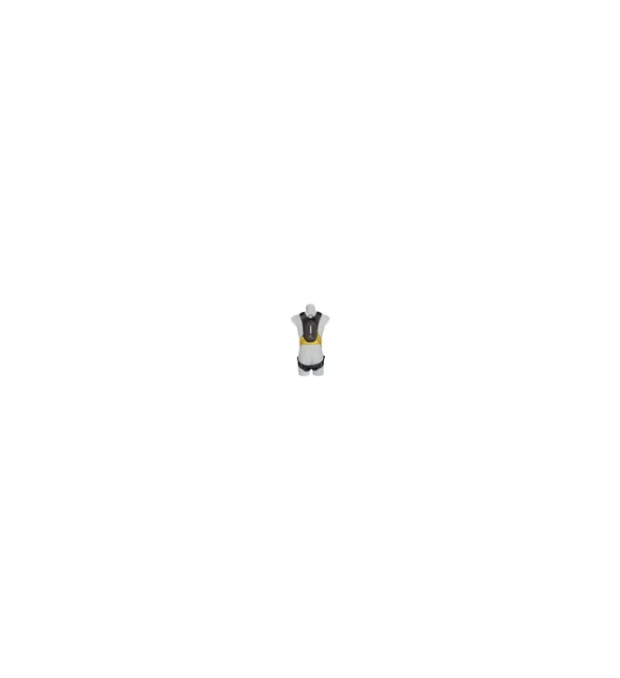 latchways-prd-with-workman-premier-harness-%c2%96-large