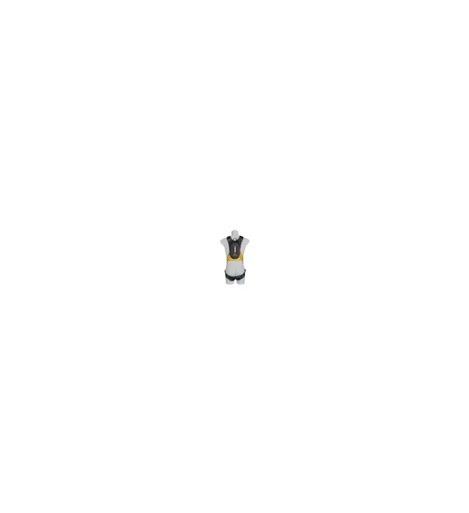 latchways-prd-with-workman-premier-harness-%c2%96-medium